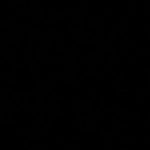 Meet your Posher, Terry